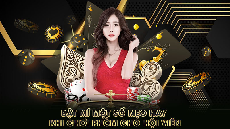 bật-mí-một-số-mẹo-hay-khi-chơi phỏm-cho-hội-viên